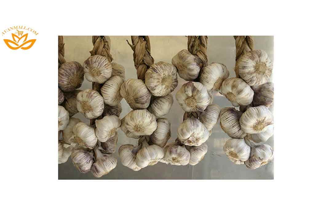 سیر خشک بوته ای در سبد 5 کیلوگرمی — تصویر ۳