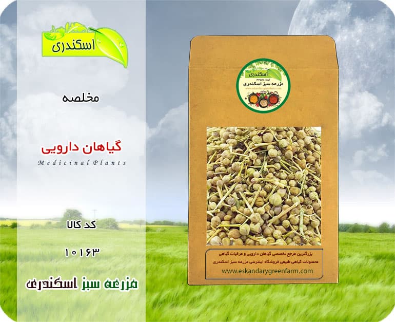گیاه مخلصه