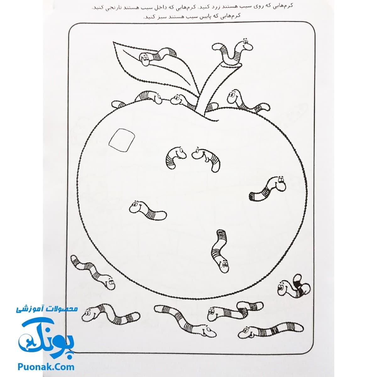 کتاب کار کودک مفاهیم اولیهی ریاضی (مجموعه قاصدک دانایی ۶) — تصویر ۵