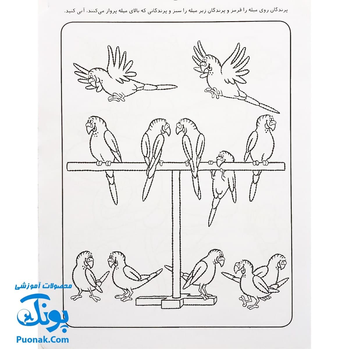 کتاب کار کودک مفاهیم اولیهی ریاضی (مجموعه قاصدک دانایی ۶) — تصویر ۷