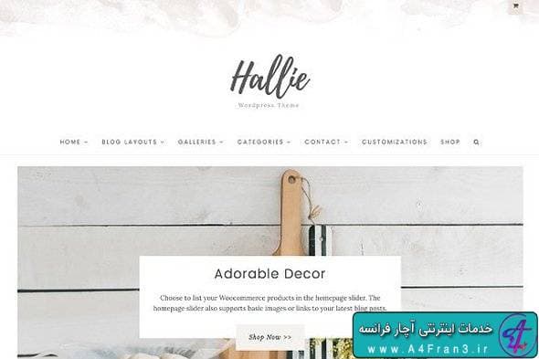 دانلود قالب وردپرس The Hallie