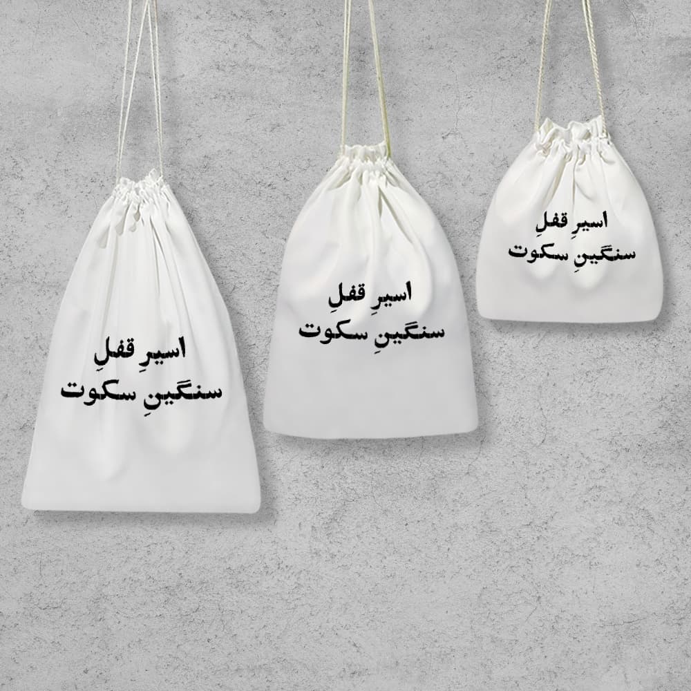 کیسه نظم دهنده اسیر قفل سنگین سکوت — تصویر ۲