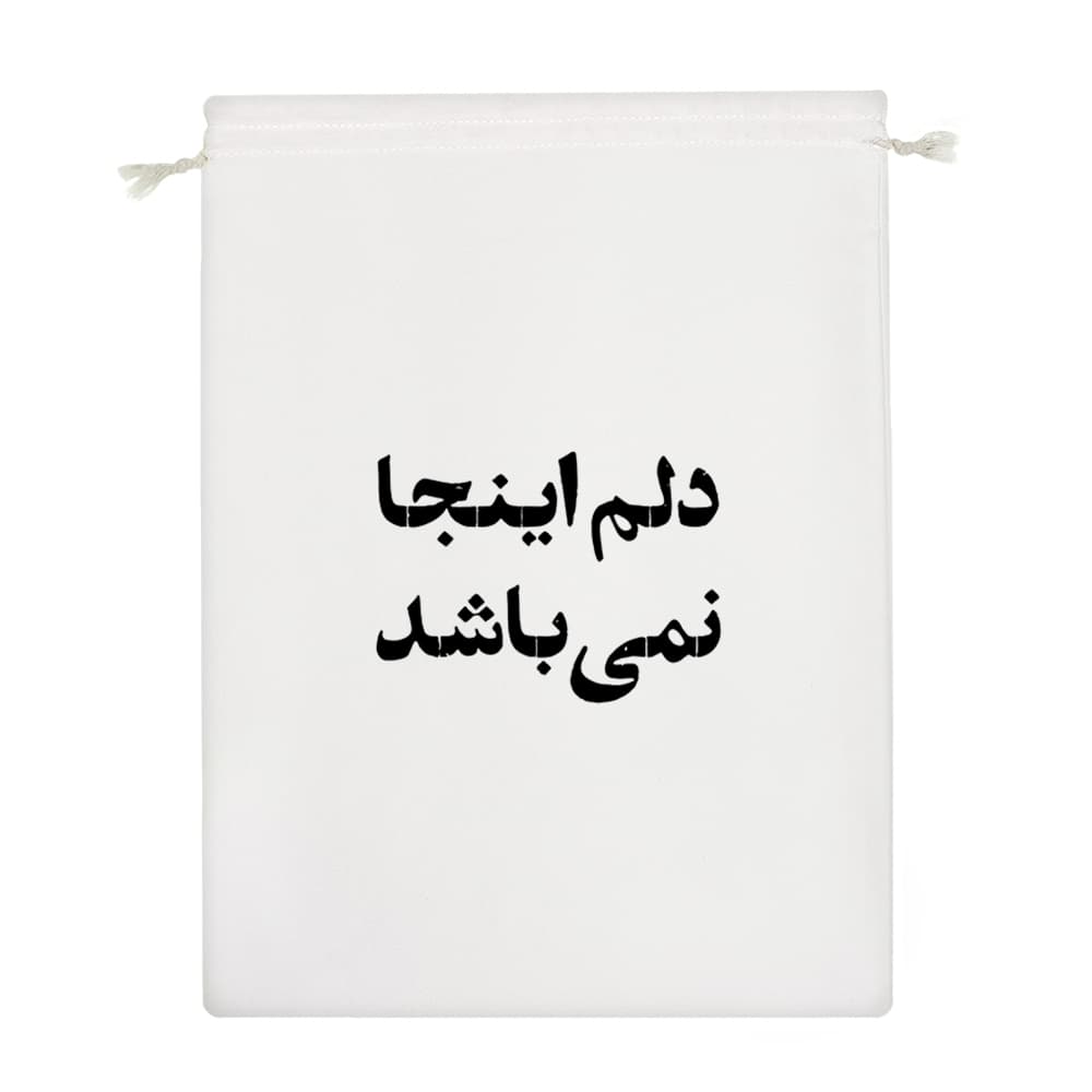 کیسه نظم دهنده دلم اینجا نمی باشد — تصویر ۴