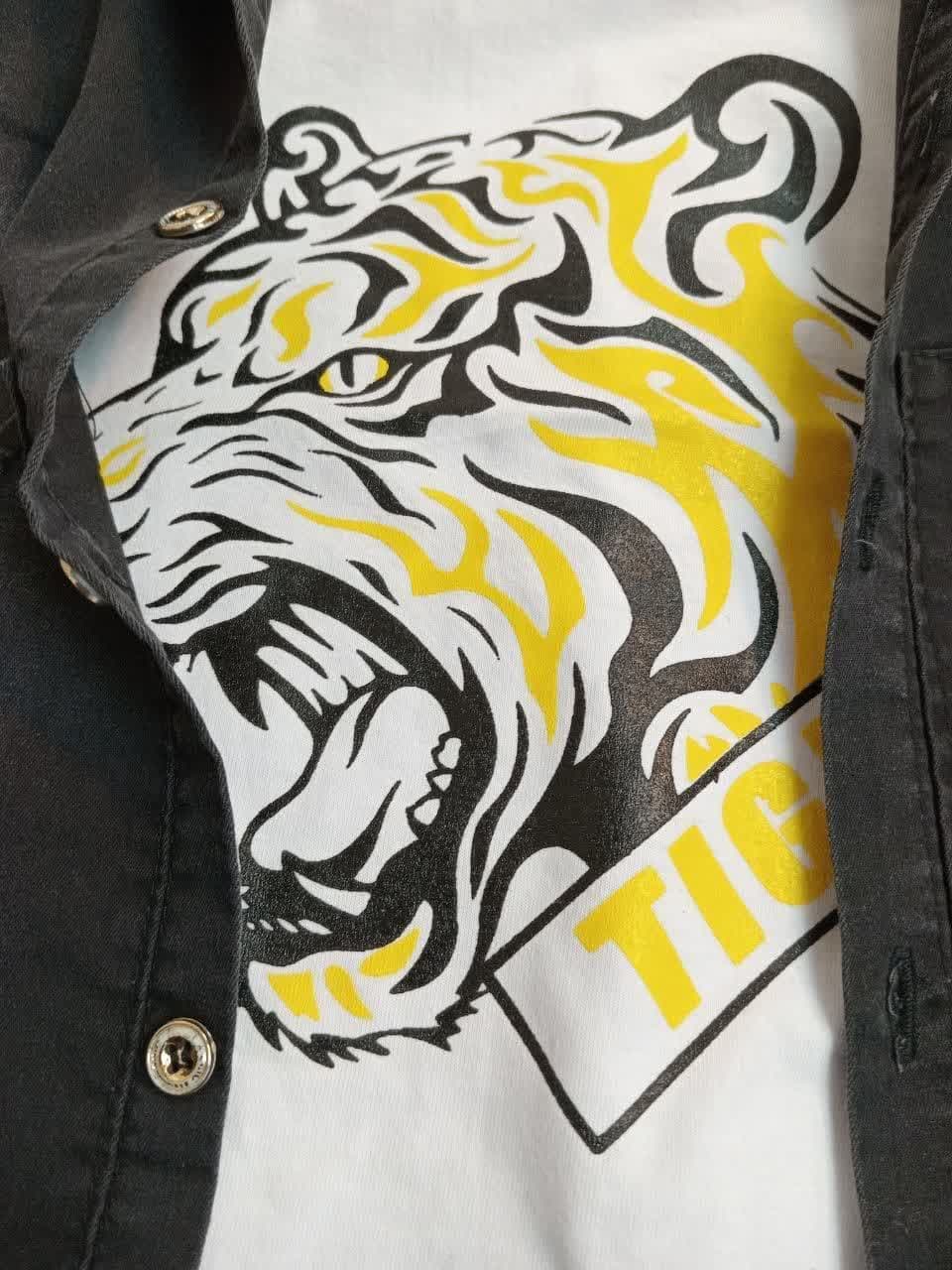 سه تیکه طرح ببر — تصویر ۶