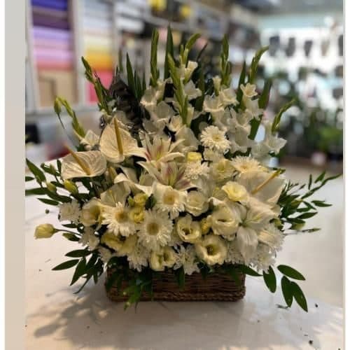 سفارش دسته گل و کادو برای مجری تبلیغاتی t2929