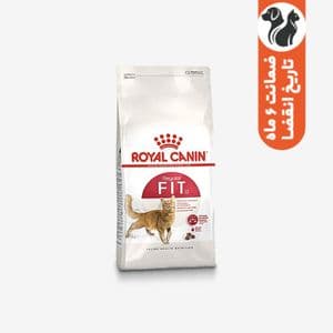 غذای خشک گربه رویال کنین مدل کنترل وزن Regular Fit 32 وزن 10 کیلوگرم — تصویر ۴