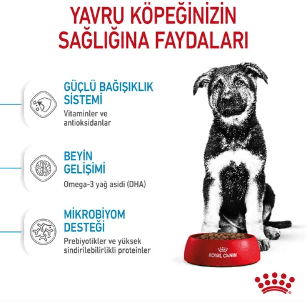 غذای کامل سگ Maxi Puppy رویال کنین 10Kg — تصویر ۸