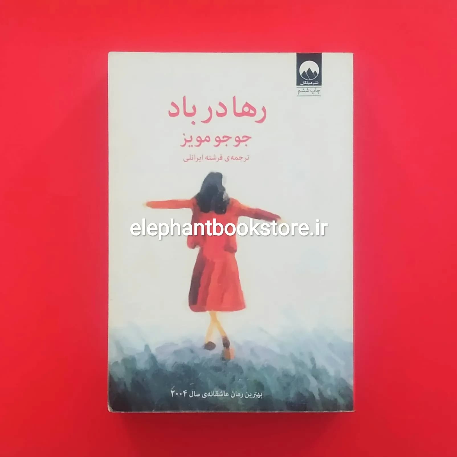کتاب رها در باد اثر جوجو مویز