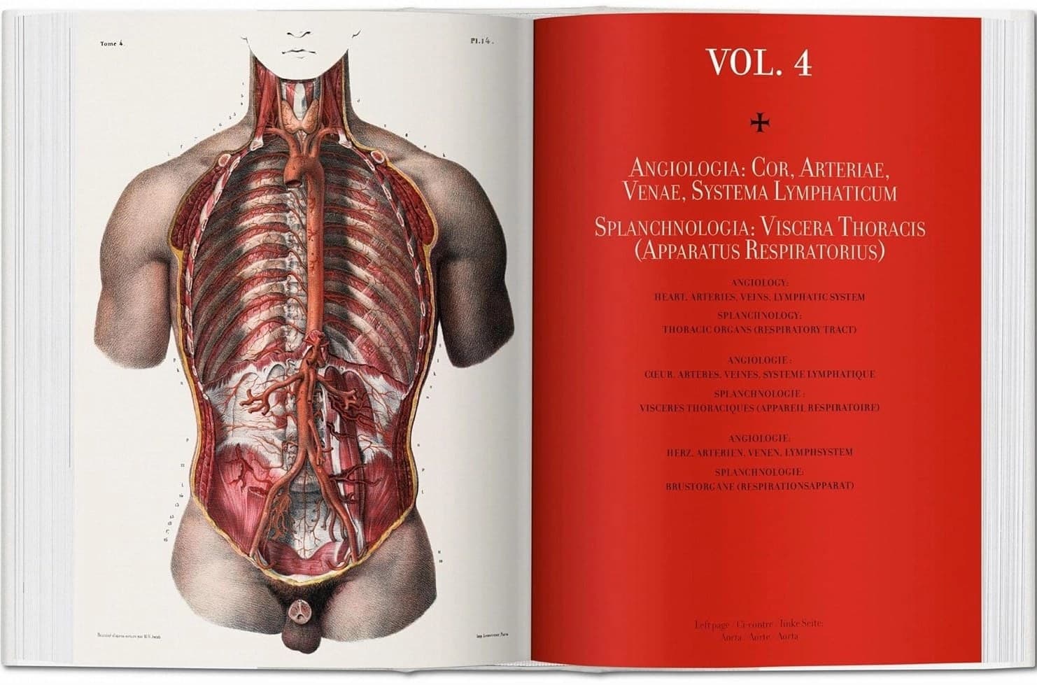کتاب Bourgery. Atlas of Human Anatomy and Surgery انتشارات Taschen کد M13673 — تصویر ۴