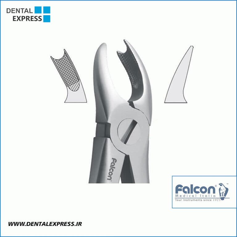 فورسپس آناتومیک Falcon-کاهورن بالا چپ