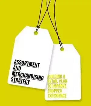 دانلود کتاب Assortment and Merchandising Strategy: Building a Retail Plan to Improve Shopper Experience – مجموعه ای و استراتژی تجاری:…