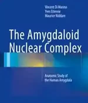 دانلود کتاب The Amygdaloid Nuclear Complex: Anatomic Study of the Human Amygdala – مجموعه هسته ای آمیگدالوئید: مطالعه آناتومیک آمیگدال…