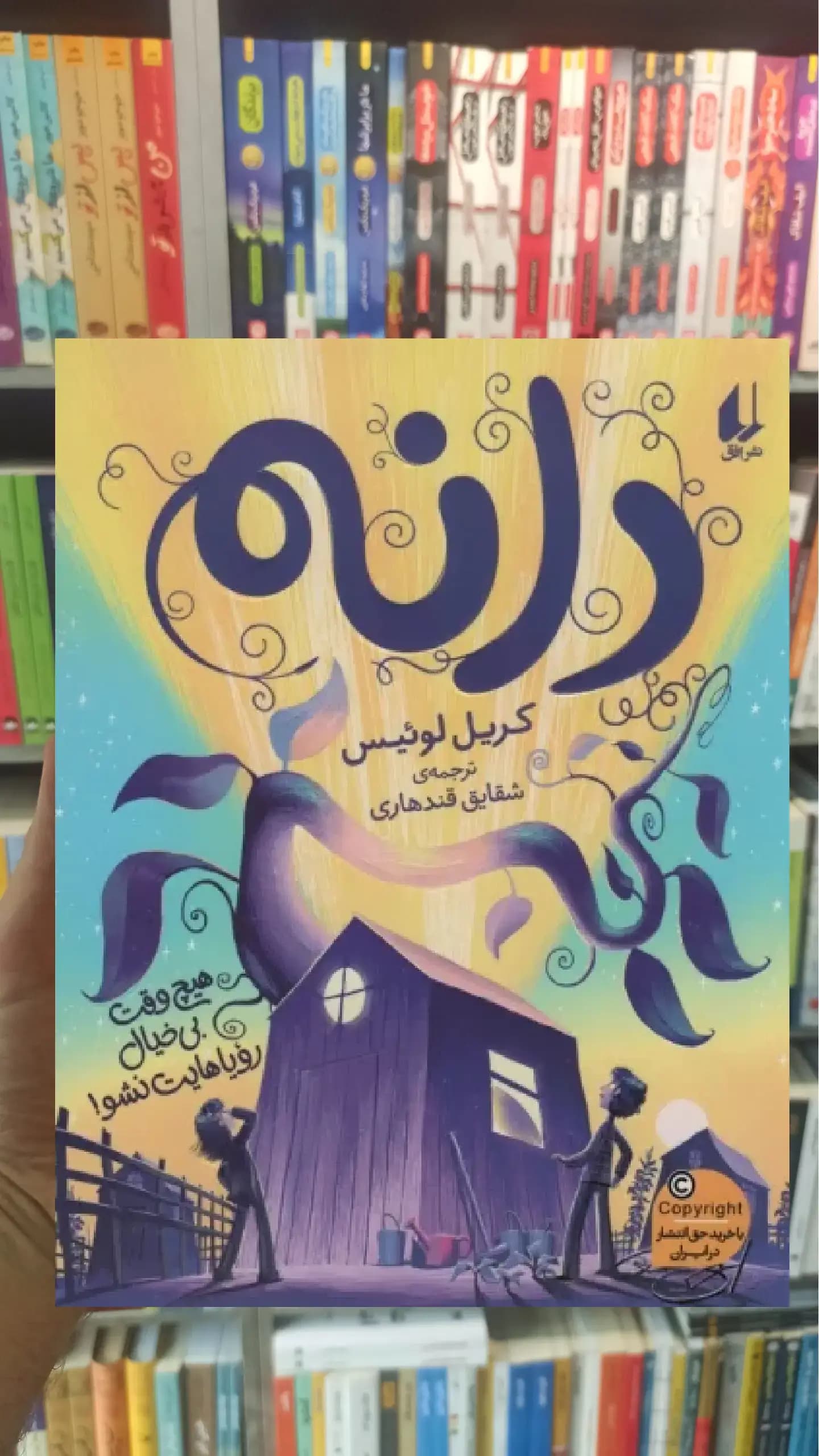 دانه افق