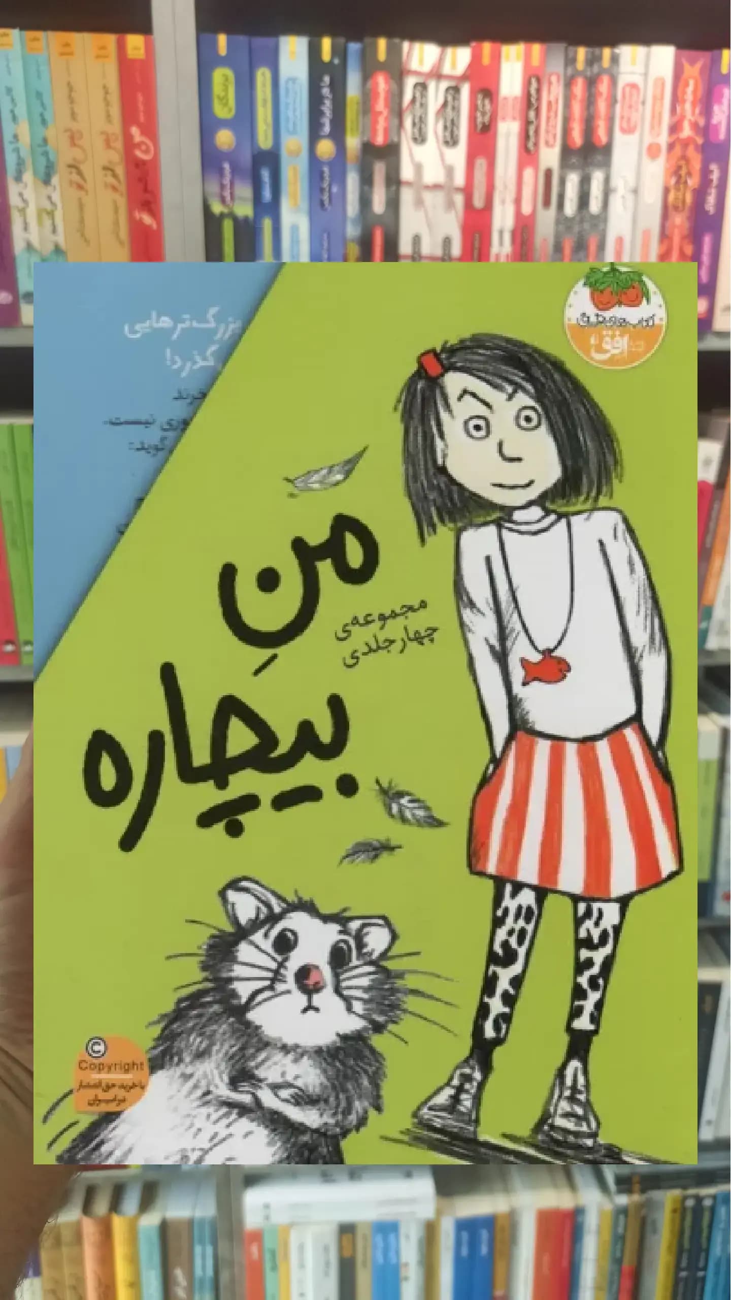 مجموعه من بیچاره 4جلدی با قاب افق