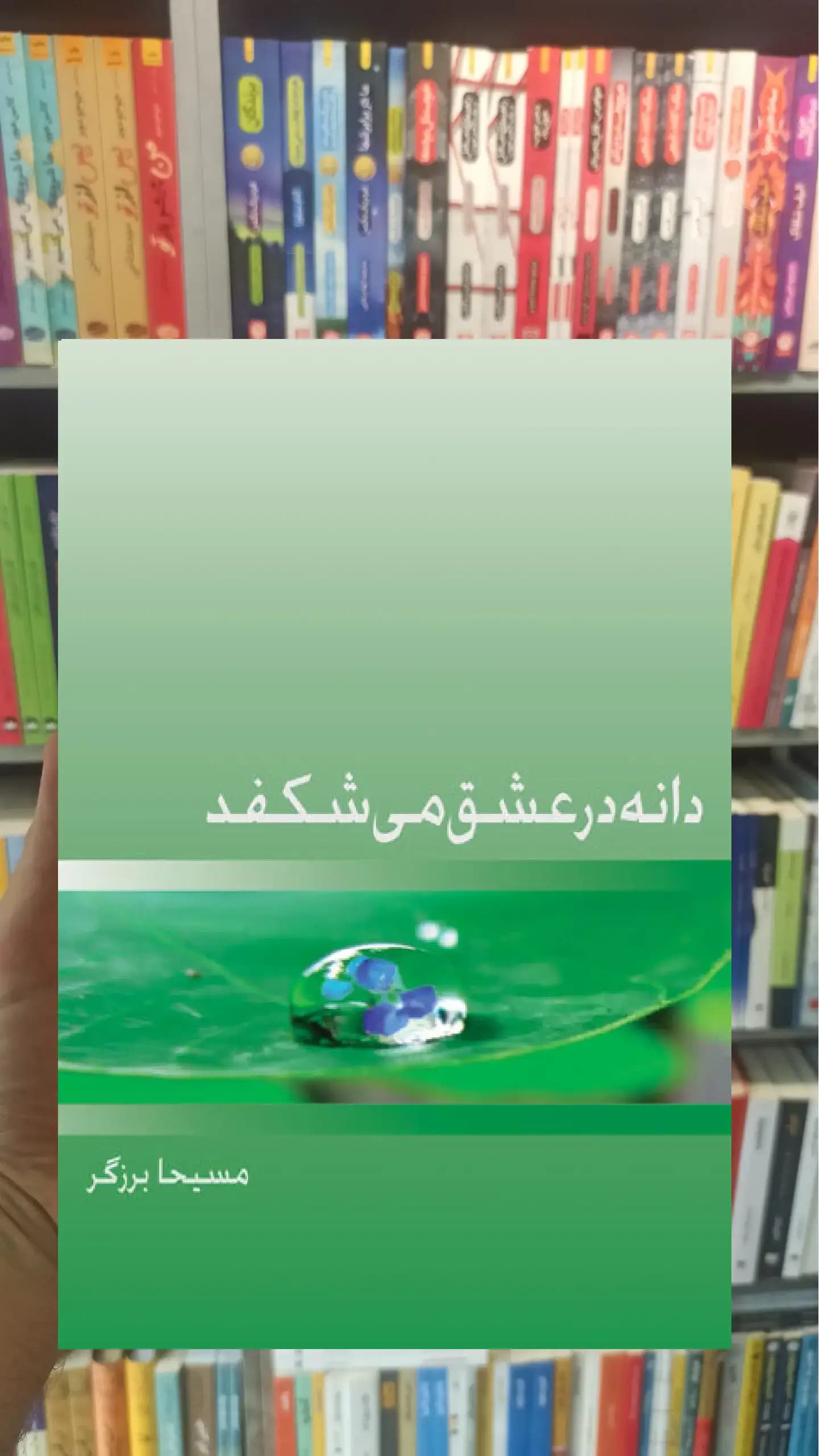 دانه در عشق می شکفد ذهن آویز