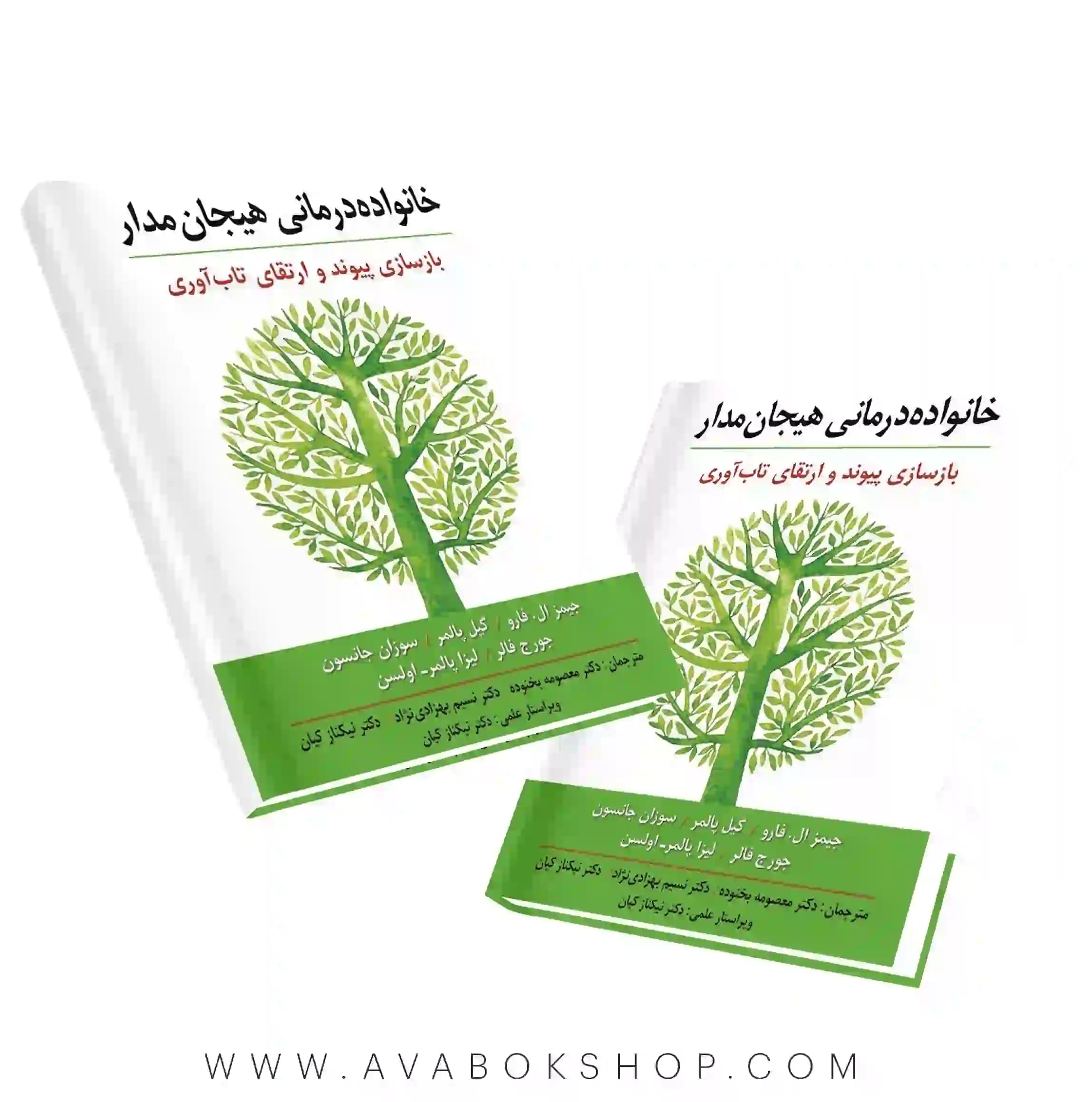 کتاب خانواده درمانی هیجان مدار انتشارات ارسباران