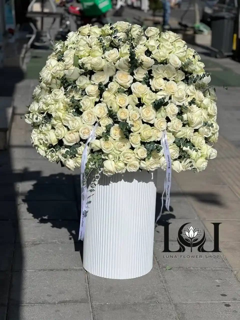 باکس گل رز سفید ۱۵۰ شاخه