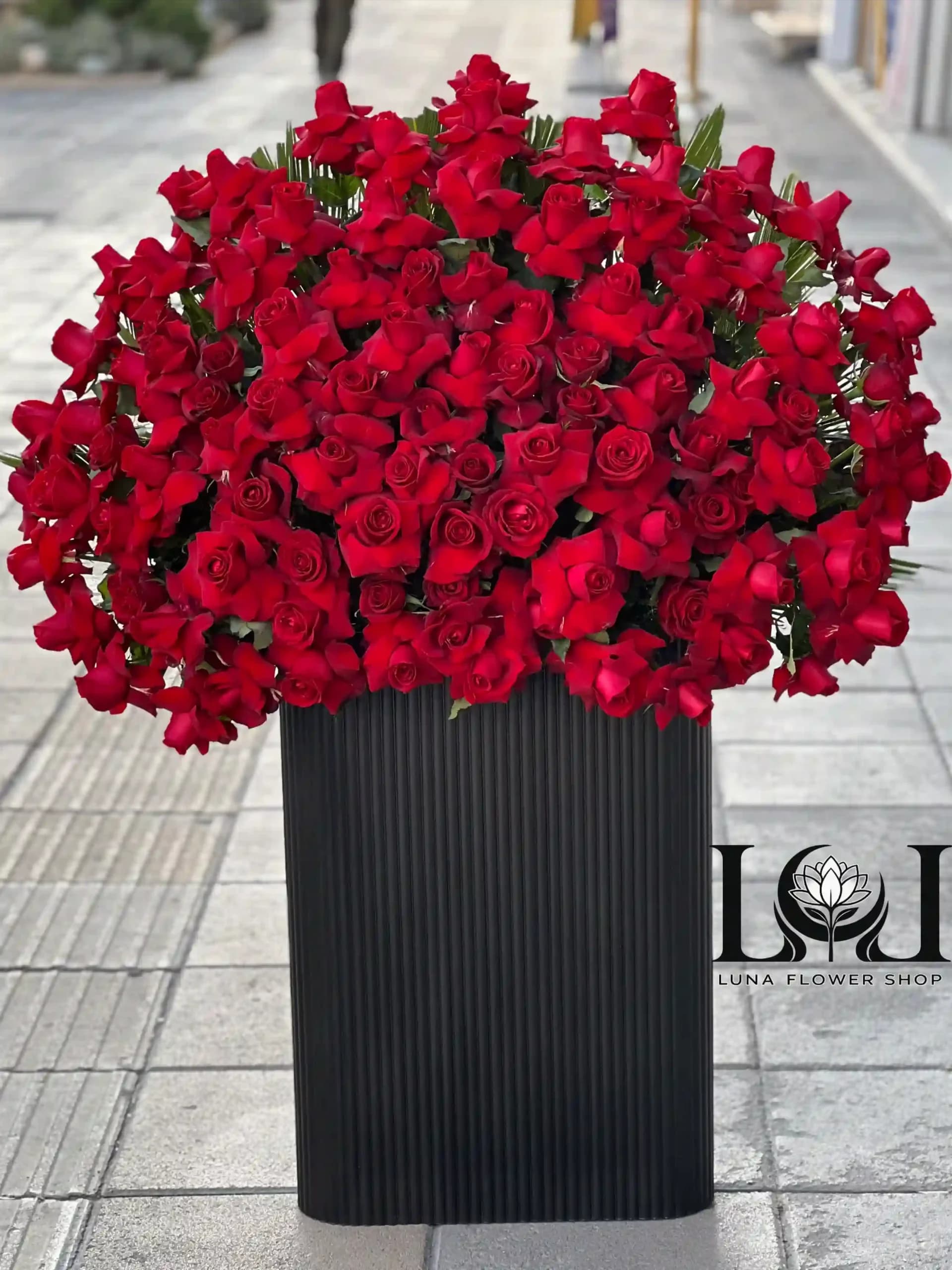 باکس گل رز قرمز BL104