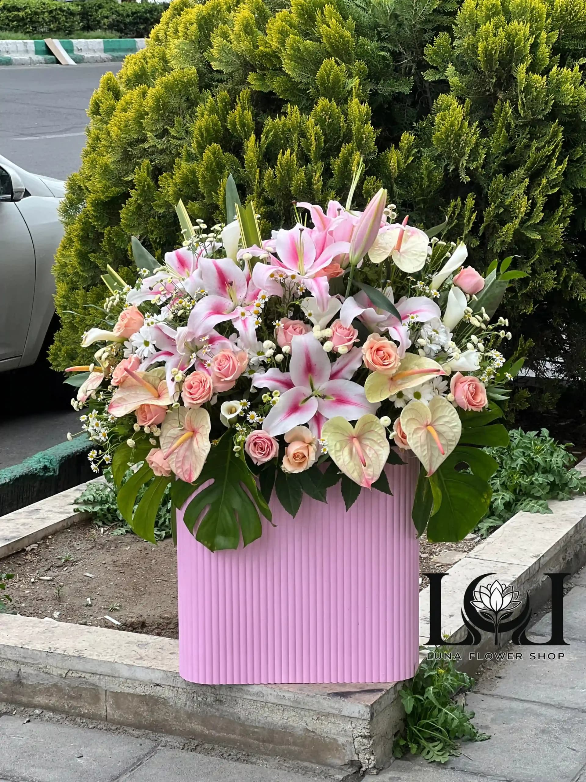 باکس گل BL144