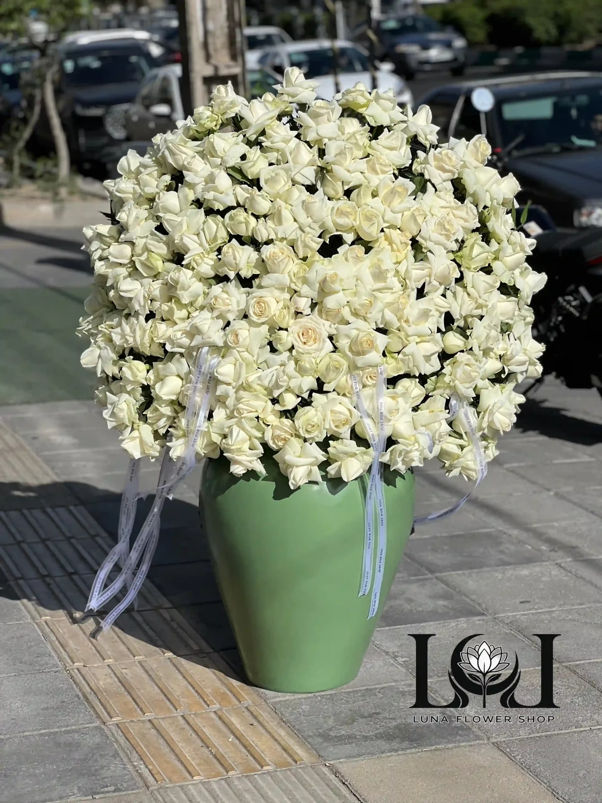 کوزه رز KL101
