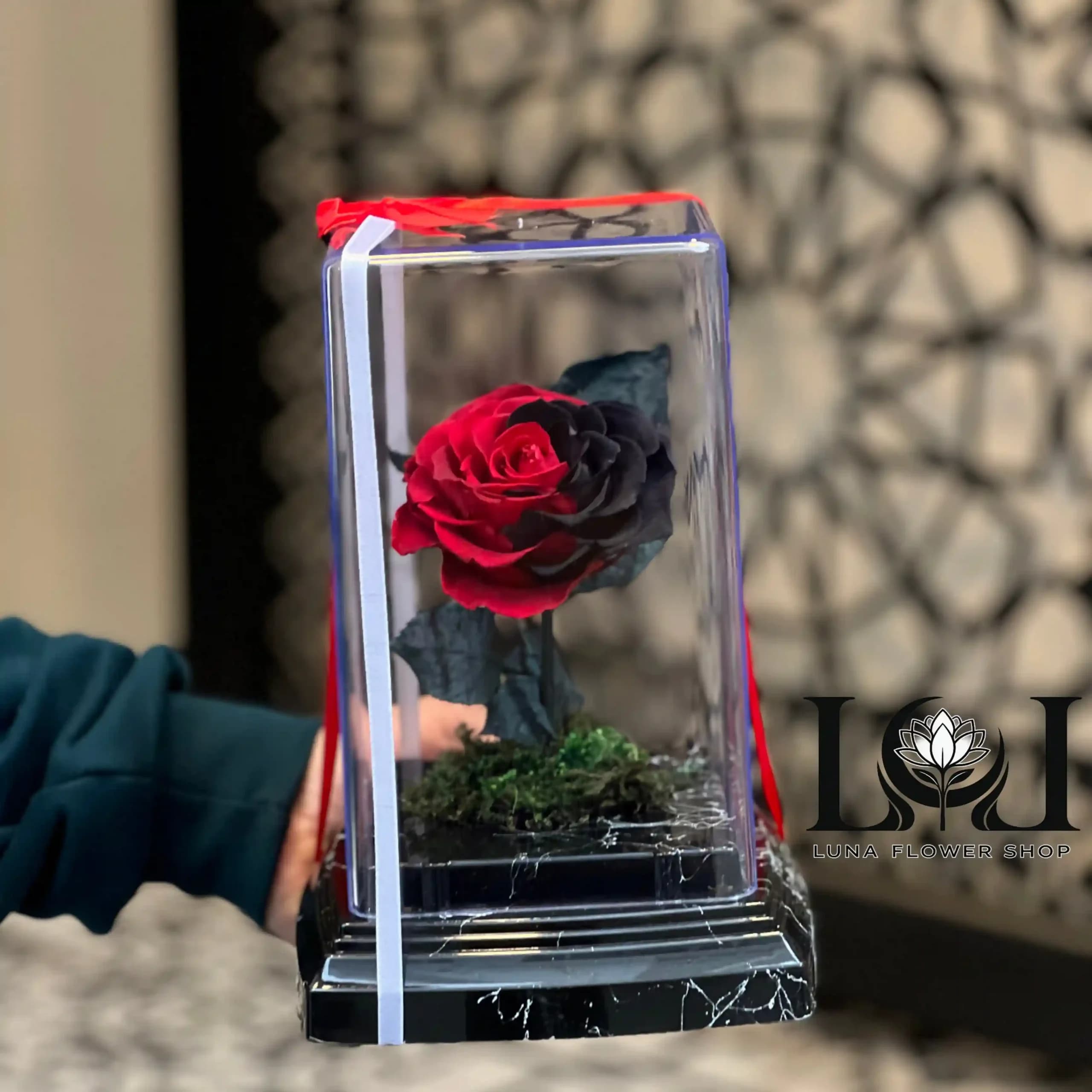 رز جاودان ML101