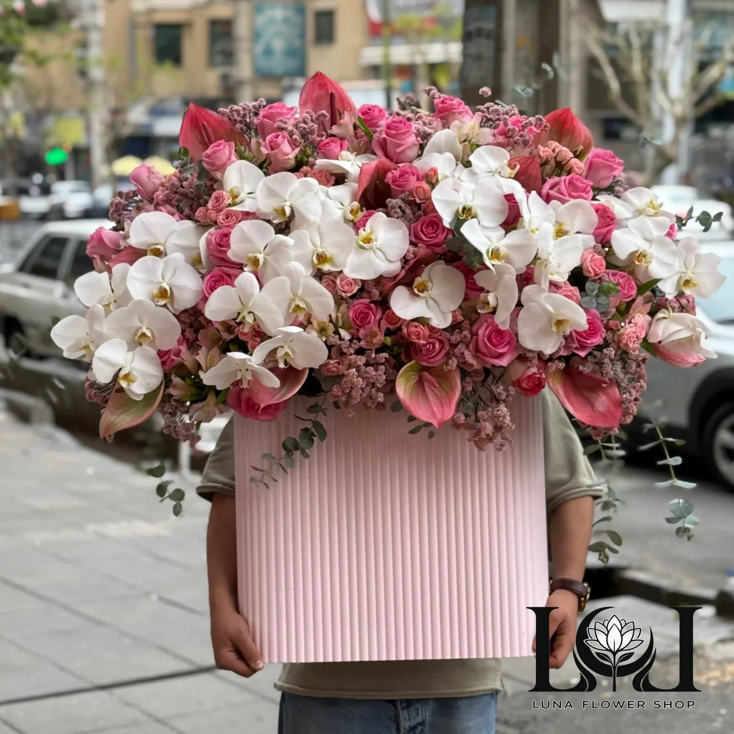 باکس ارکیده BL112