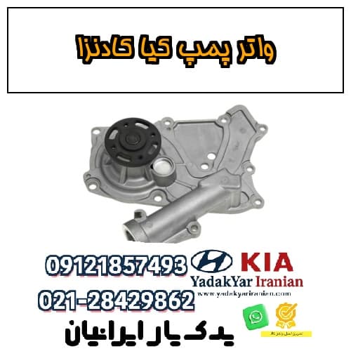 واتر پمپ کیا کادنزا — تصویر ۲