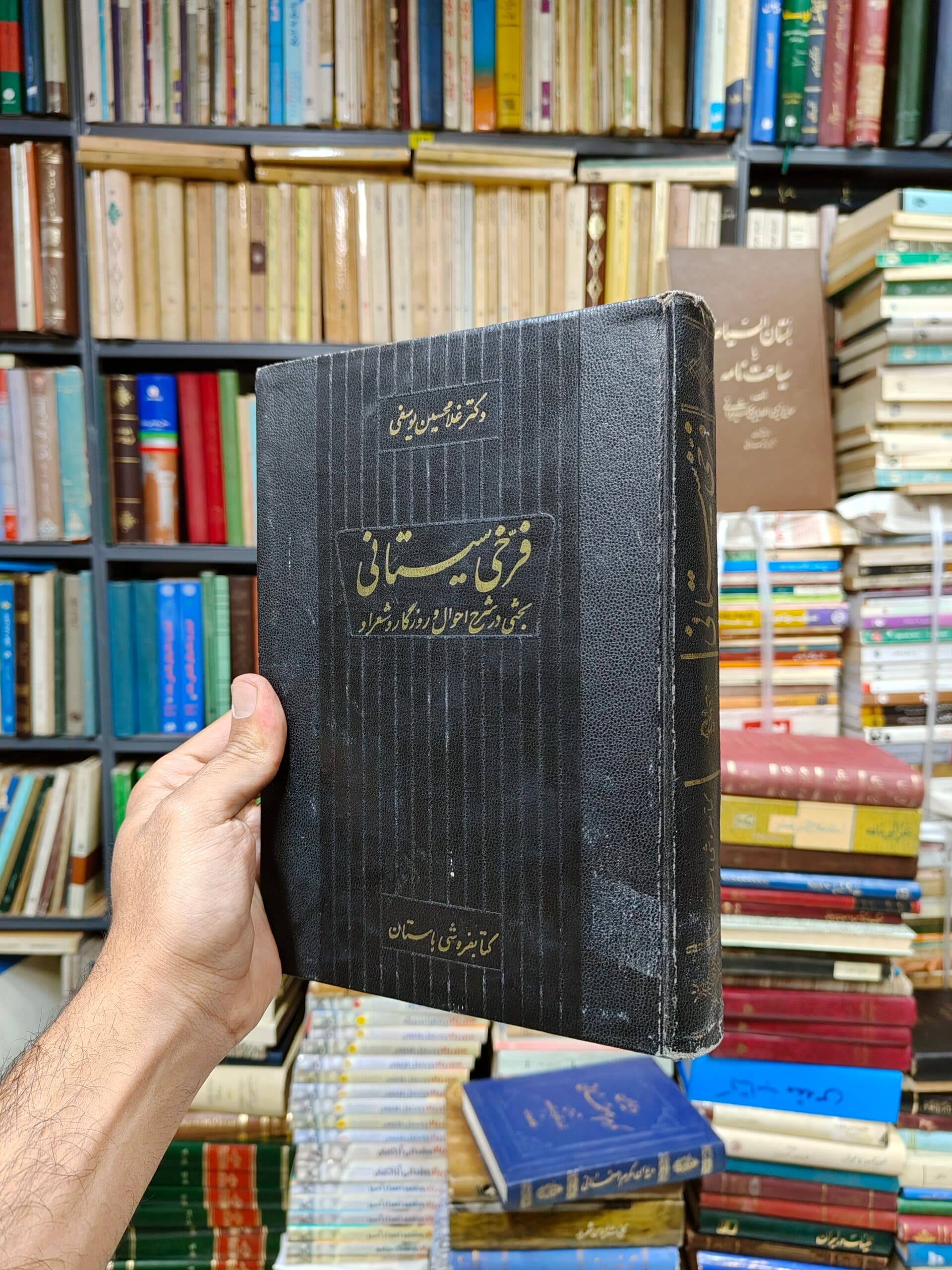 فرخی سیستانی (بحثی در شرح احوال و روزگار و شعر او) — تصویر ۲