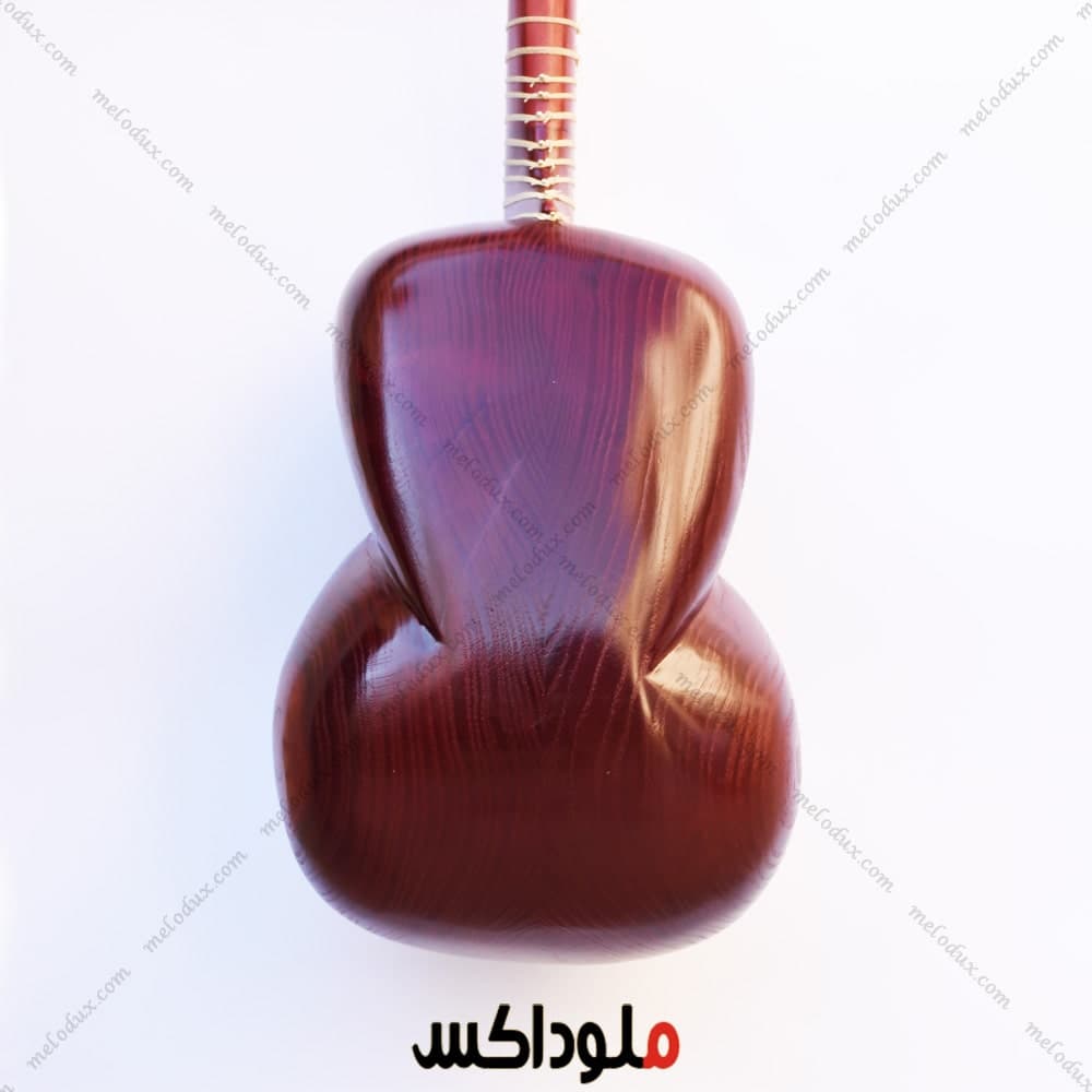 ساز تار حرفه ای چهارگل مهر زمانی — تصویر ۵