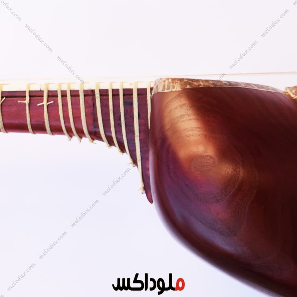 ساز تار حرفه ای چهارگل مهر زمانی — تصویر ۲