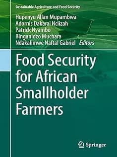 دانلود کتاب Food Security for African Smallholder Farmers
