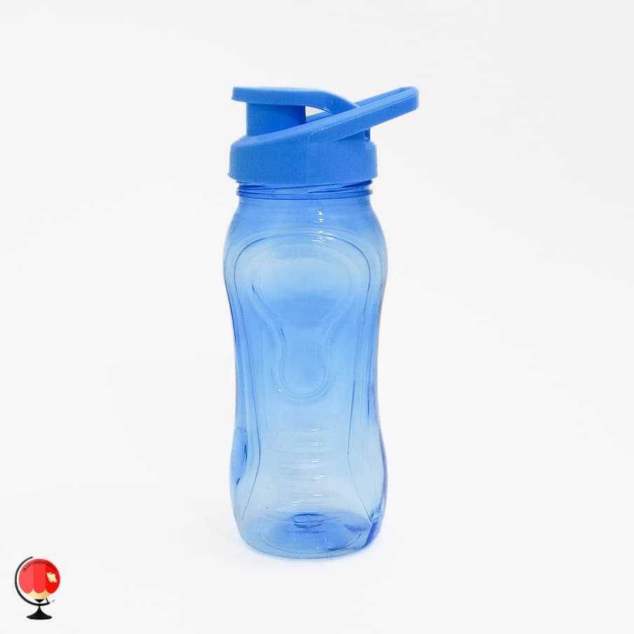 قمقمه مدرسه کوچک 300 میلی لیتر رنگ آبی