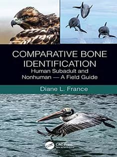 دانلود کتاب Comparative Bone Identification: Human Subadult and Nonhuman – A Field Guide