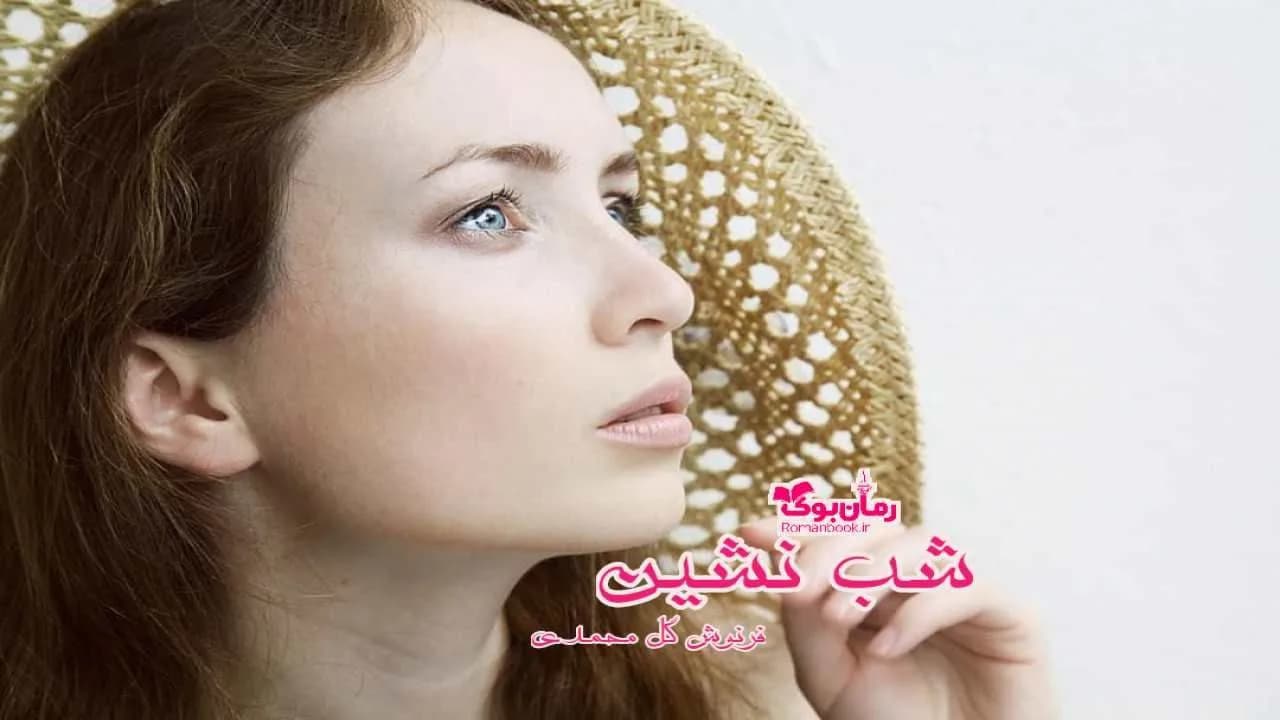 و دانلود نسخه کامل رمان شب نشین | رمان عاشقانه | رمان بزرگسال | رمان اجتماعی