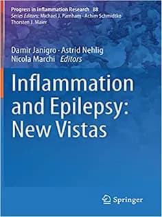 دانلود کتاب Inflammation and Epilepsy: New Vistas