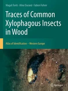 دانلود کتاب Traces of Common Xylophagous Insects in Wood