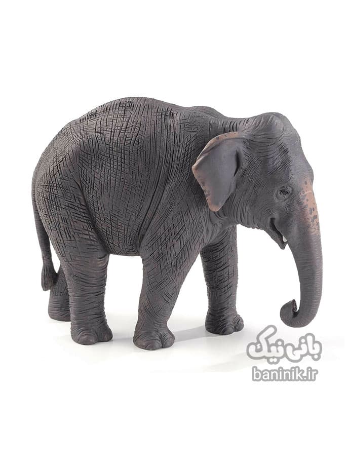 فیگور موجو سری فیل آسیایی Mojo Asian Elephant Figure