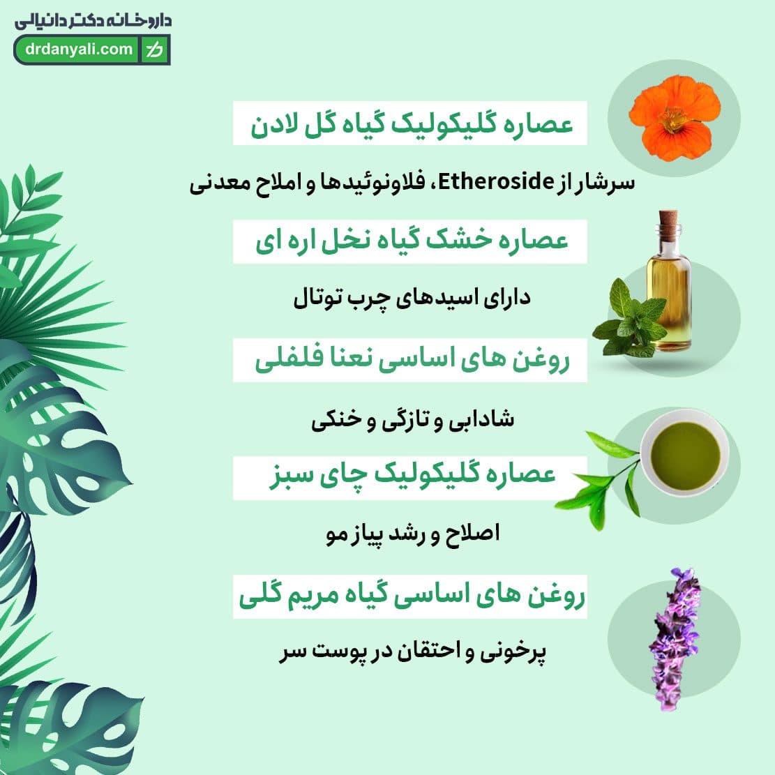 ویال های تقویت کننده مو رینفولتیل بانوان فارمالایف 10 عددی — تصویر ۵