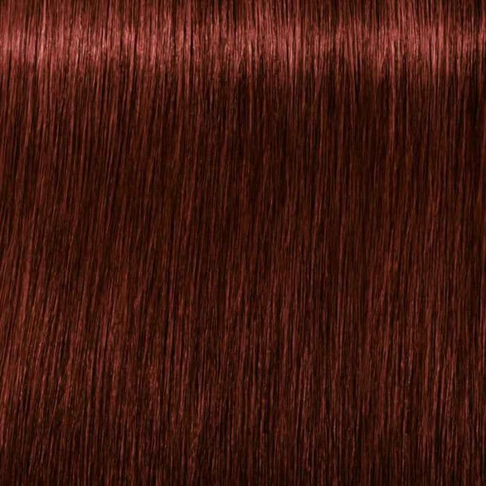 رنگ موی قهوه ای روشن قرمز ایگورا ابسلوت Igora Royal Absolutes 5-80 — تصویر ۲