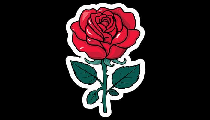 وکتور تصویرسازی گل رز