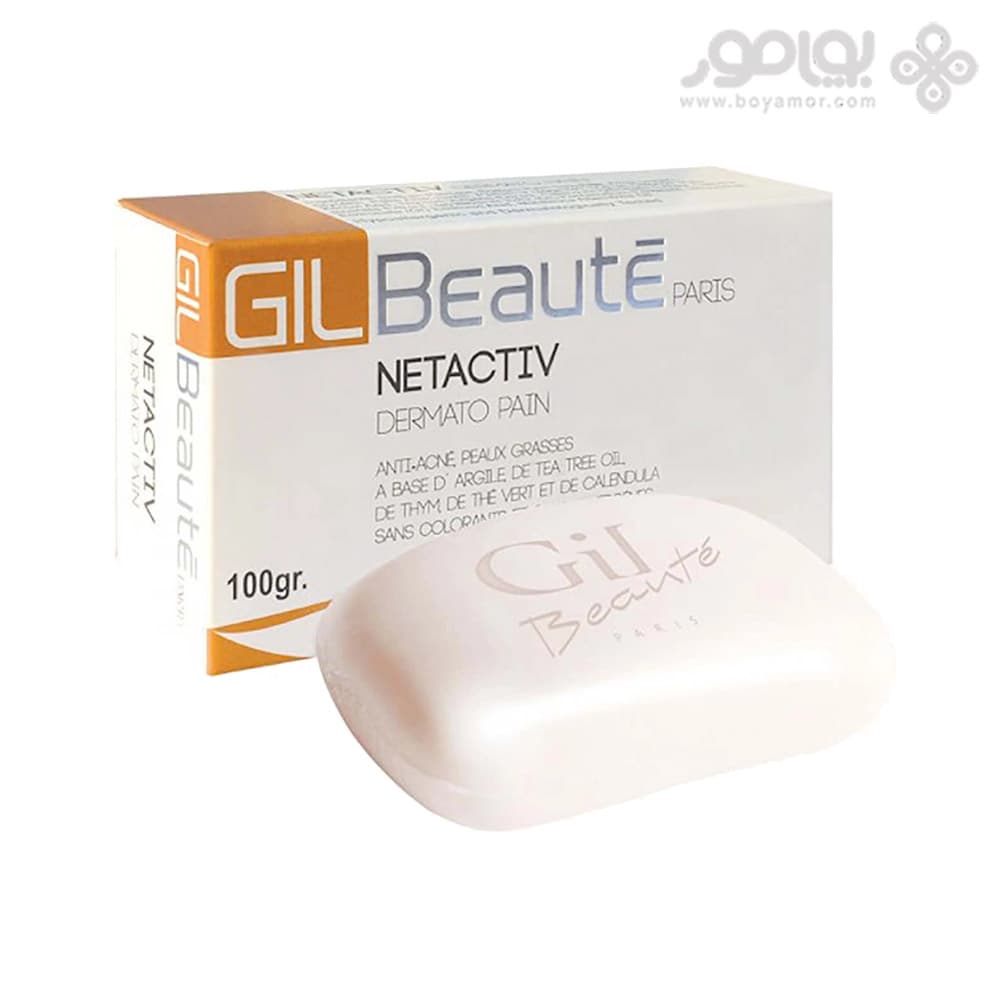 پن ضد جوش ژیل بوته مدل NETACTIV وزن 100 گرم
