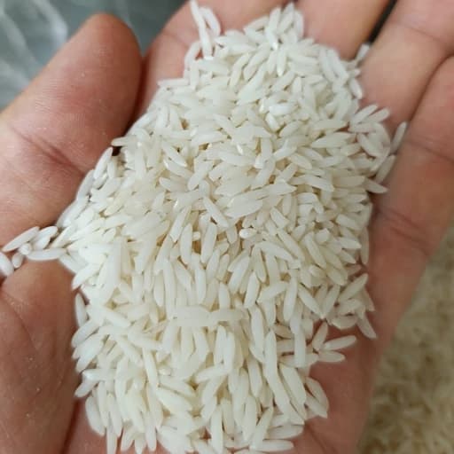 برنج طارم هاشمی اعلاء فریدونکنار کشت اول 1405 (5کیلویی) ارسال رایگان