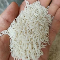برنج طارم هاشمی اعلاء فریدونکنار کشت اول 1405 (5کیلویی) ارسال رایگان — تصویر ۲