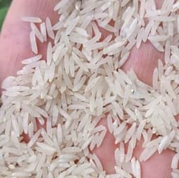 برنج فجر (5کیلوئی) بوجار و سورت شده خوش پخت صداقت — تصویر ۲