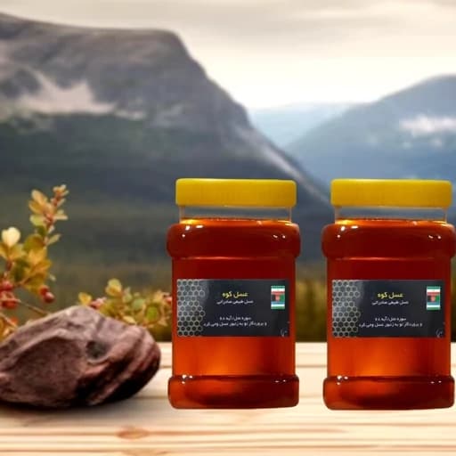 عسل طبیعی چهل گیاه دو کیلویی