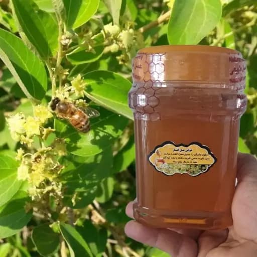 عسل کنار وحشی جنوب1کیلویی اصل(ارسال رایگان با خرید 2م از غرفه)