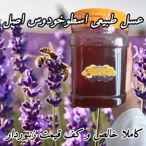 عسل تک گل طبیعی اسطوخودوس اصل آزادشهر 1 کیلویی.بیابانی و دشتی(خرید مستقیم از زنبوردار)ارسال رایگان با2م خرید از غرفه