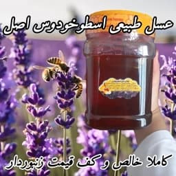 عسل تک گل طبیعی اسطوخودوس اصل آزادشهر 1 کیلویی.بیابانی و دشتی(خرید مستقیم از زنبوردار)ارسال رایگان با2م خرید از غرفه — تصویر ۲