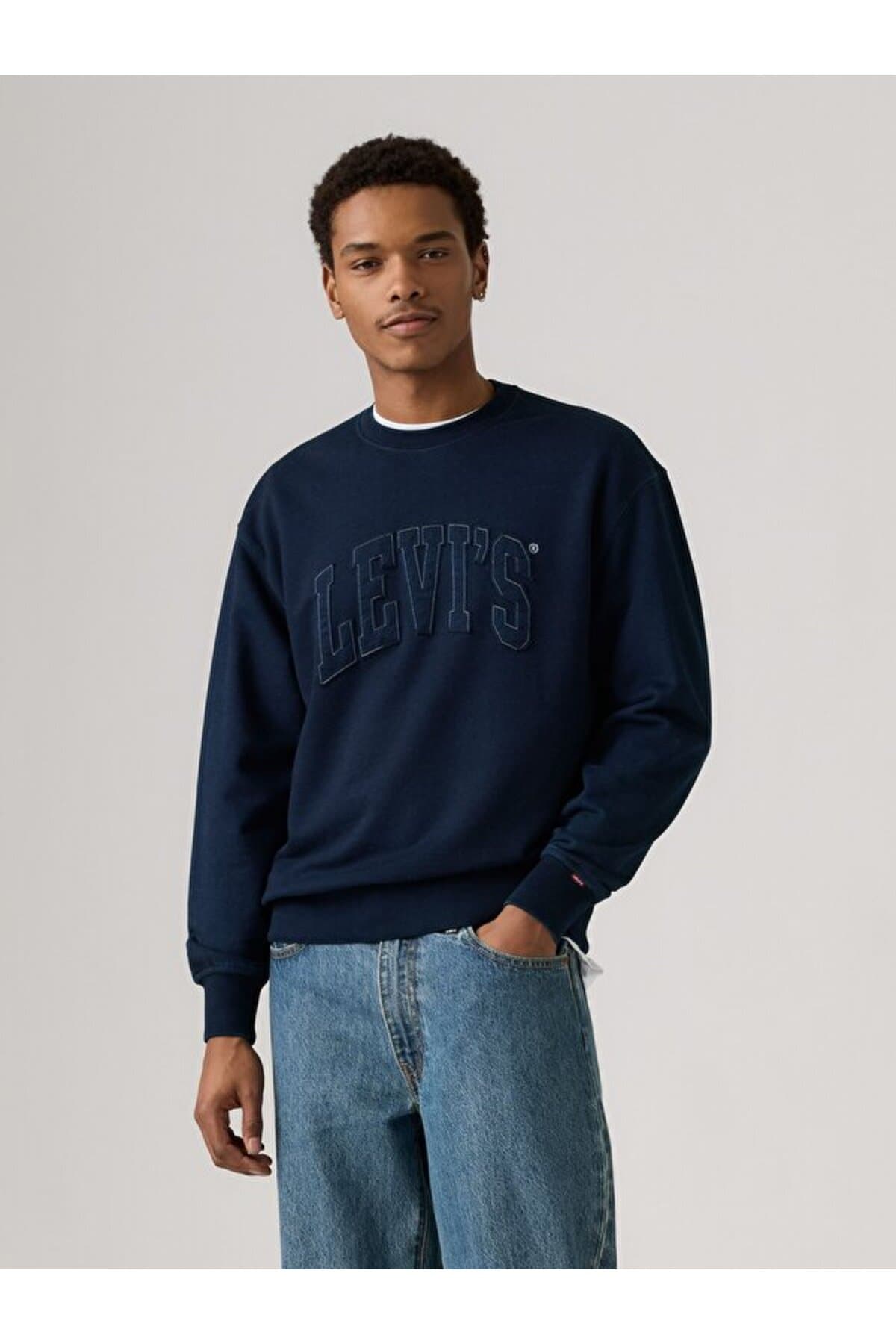 سویشرت لیوایز مردانه پاموک آبی طرح دار Regular/رگولار بیسیک کژوال/روزمره | Levi’s 000MS00170 PK