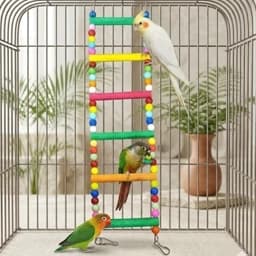 اسباب بازی پرنده مدل نردبان مهره دار طوطی 40سانتی عروس هلندی طوطی برزیلی گرینچیک راهب و… — تصویر ۲